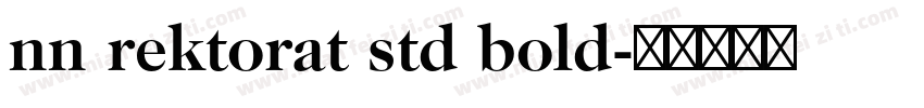 nn rektorat std bold字体转换